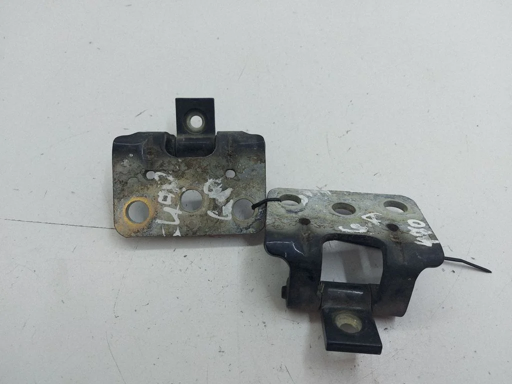 Tailgate/trunk/boot hinge 30674732