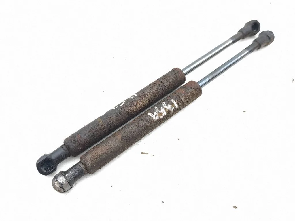 Tailgate/trunk strut/damper