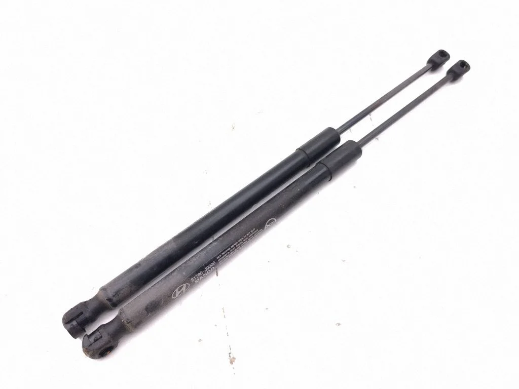 Tailgate/trunk strut/damper 81770J9000
