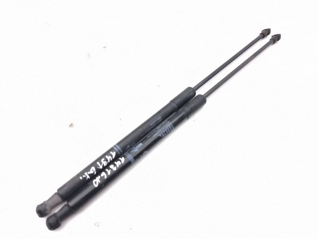 Tailgate/trunk strut/damper 689600W532