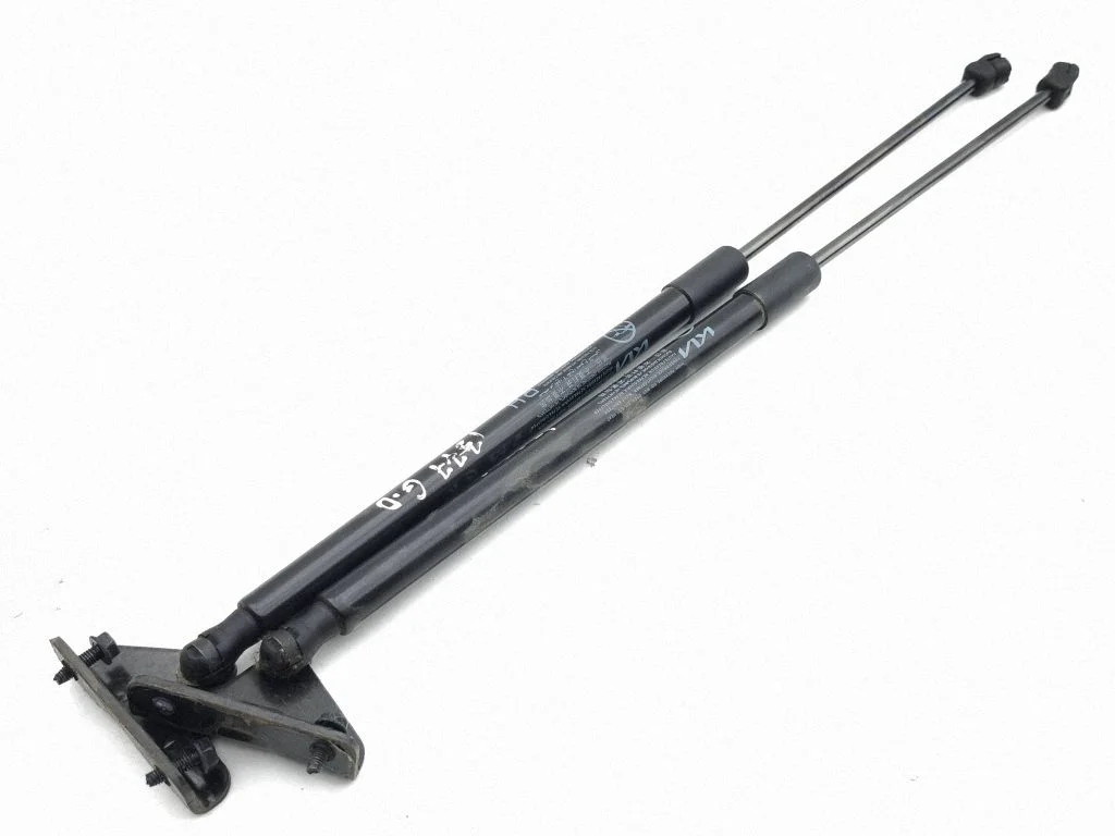 Tagaluugi gaasiamortisaator 81830R2000
