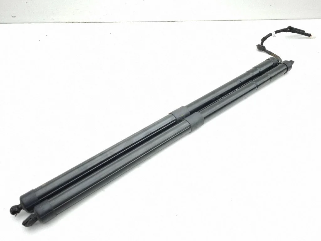 Tailgate/trunk strut/damper 74961TLAA517M1