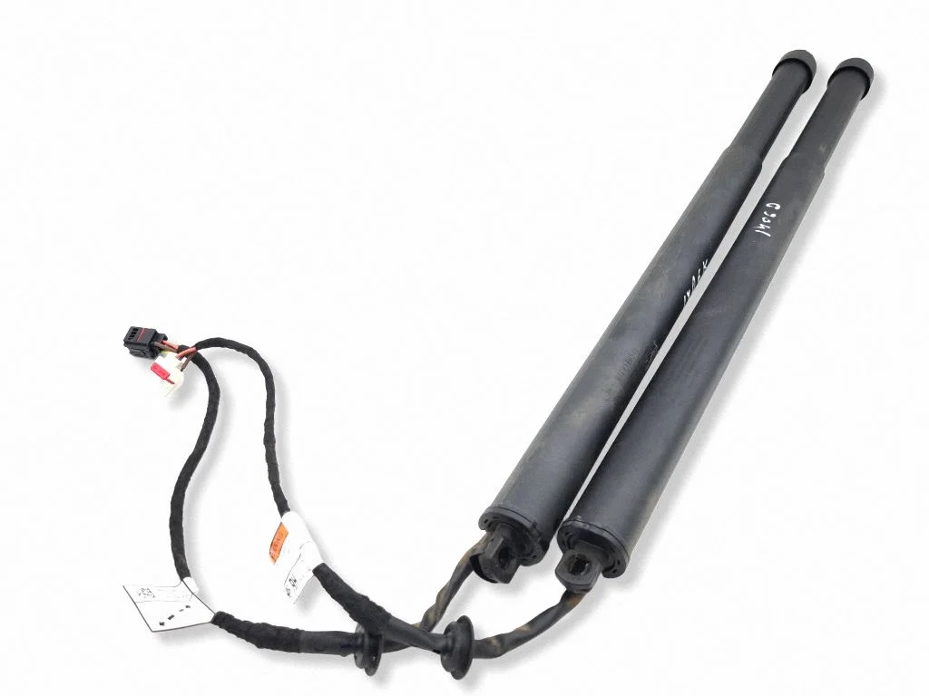 Tailgate/trunk strut/damper N9X270354AF