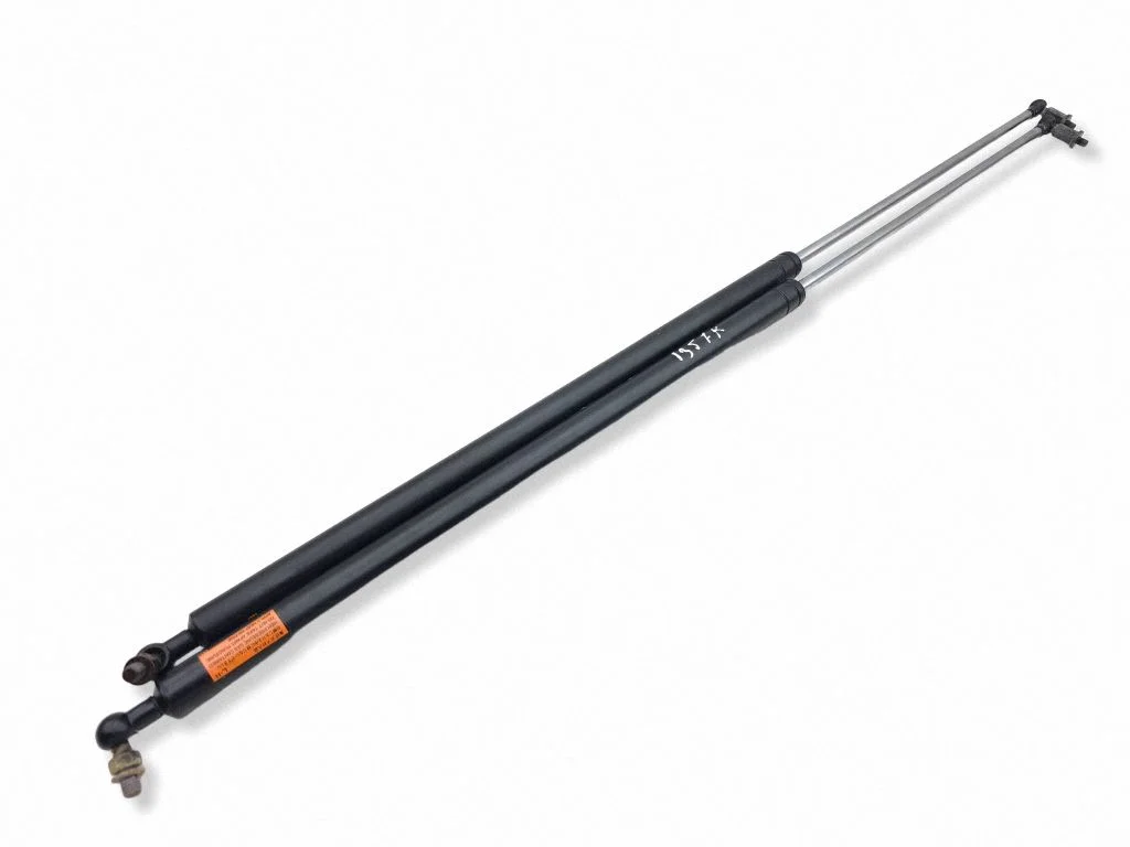 Tailgate/trunk strut/damper