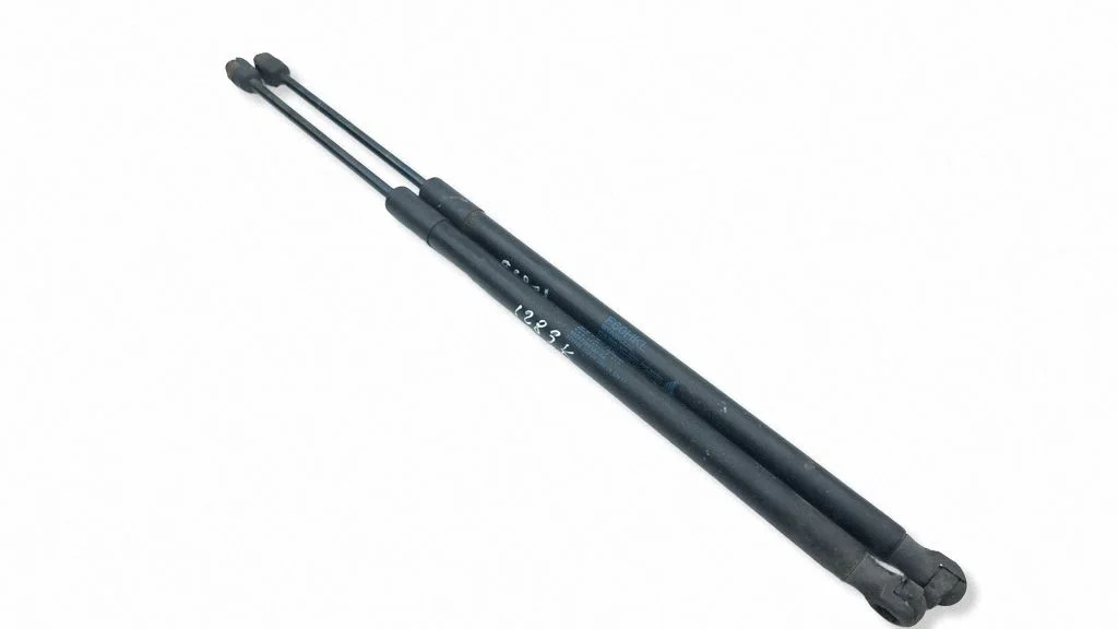 Tailgate/trunk strut/damper 8281660590N