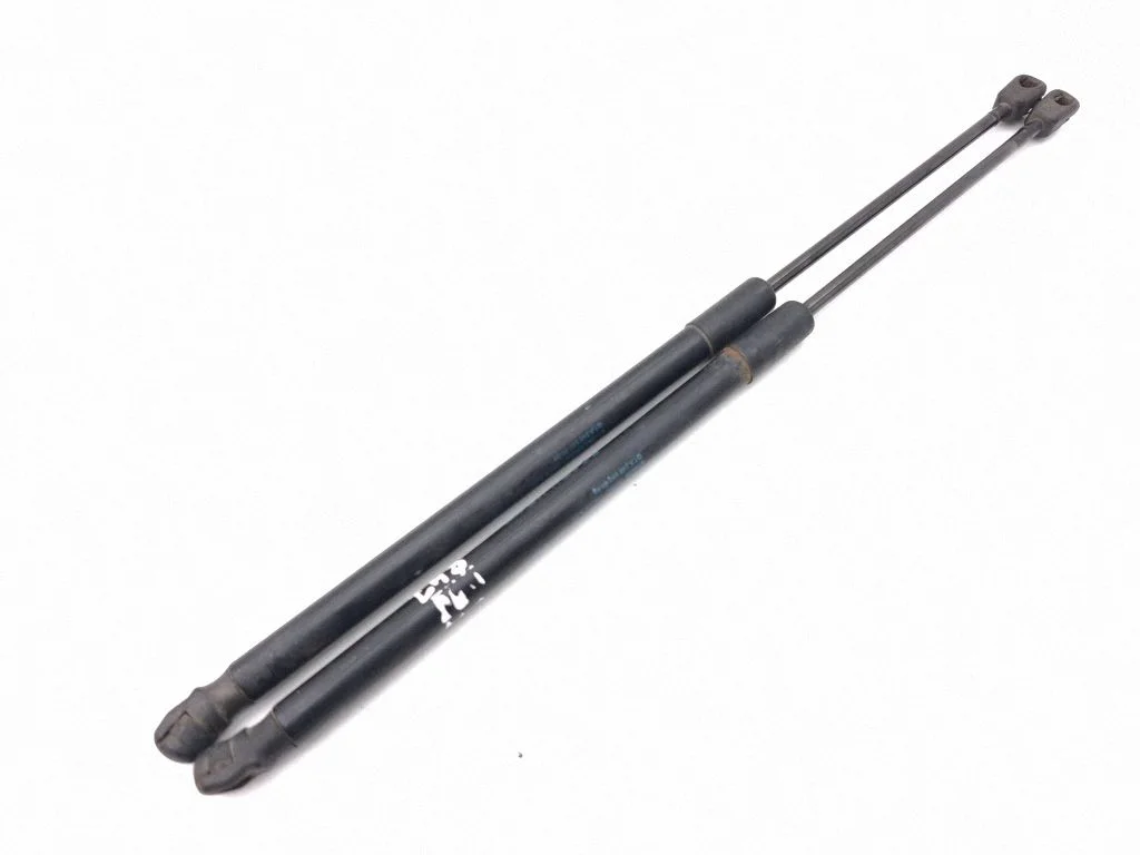 Tailgate/trunk strut/damper A2469800564