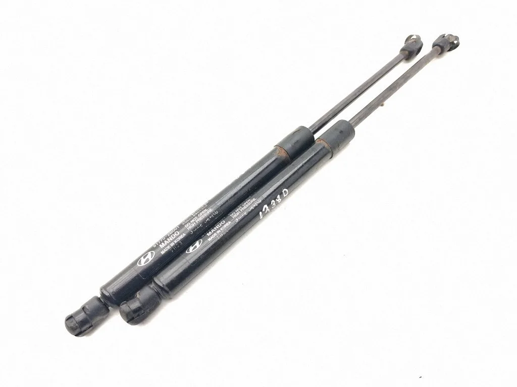Tagaluugi gaasiamortisaator 817702B001