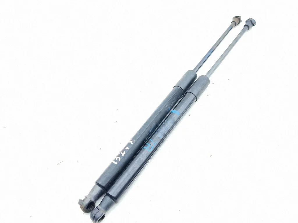 Tagaluugi gaasiamortisaator 689500W850