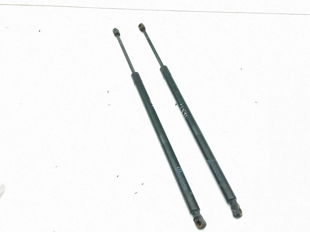 Tailgate/trunk strut/damper 44831A