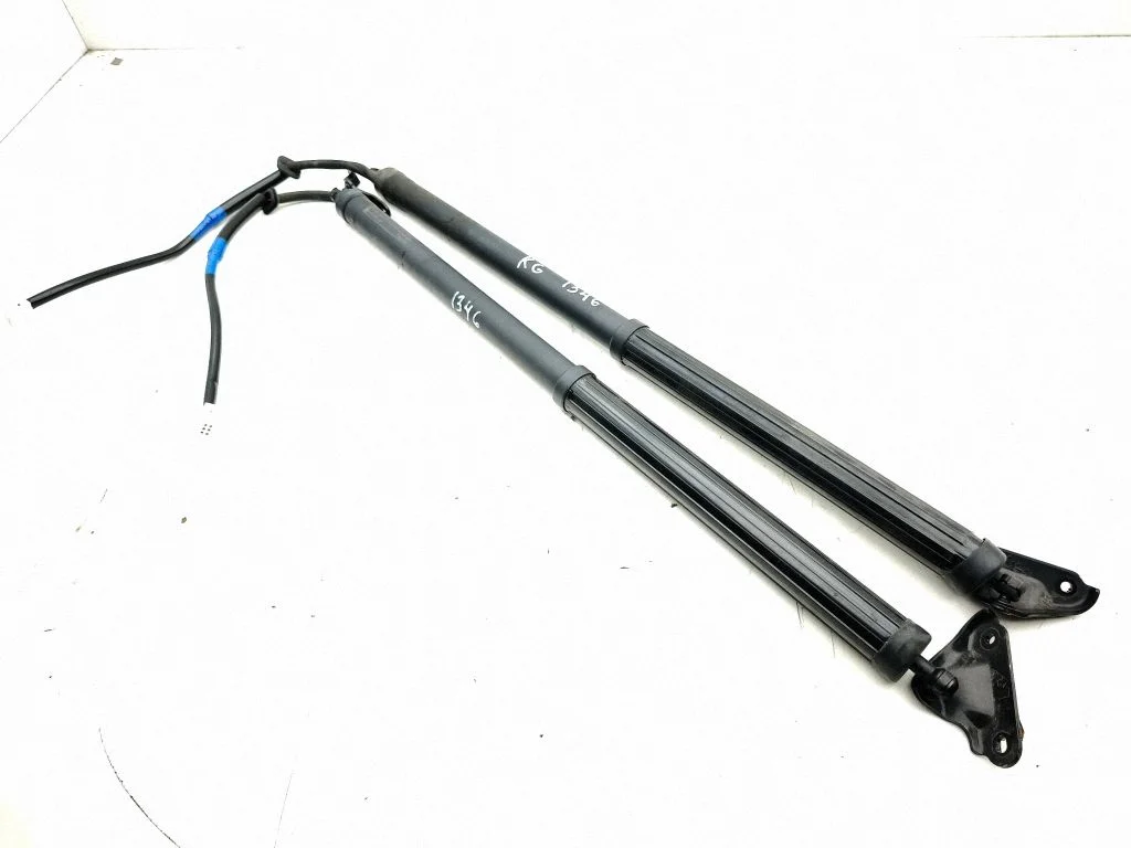 Tailgate/trunk strut/damper 6892048080