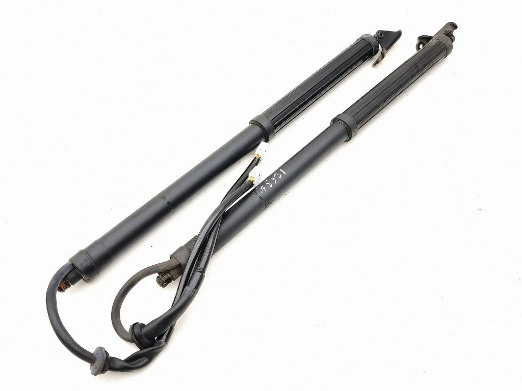 Tailgate/trunk strut/damper