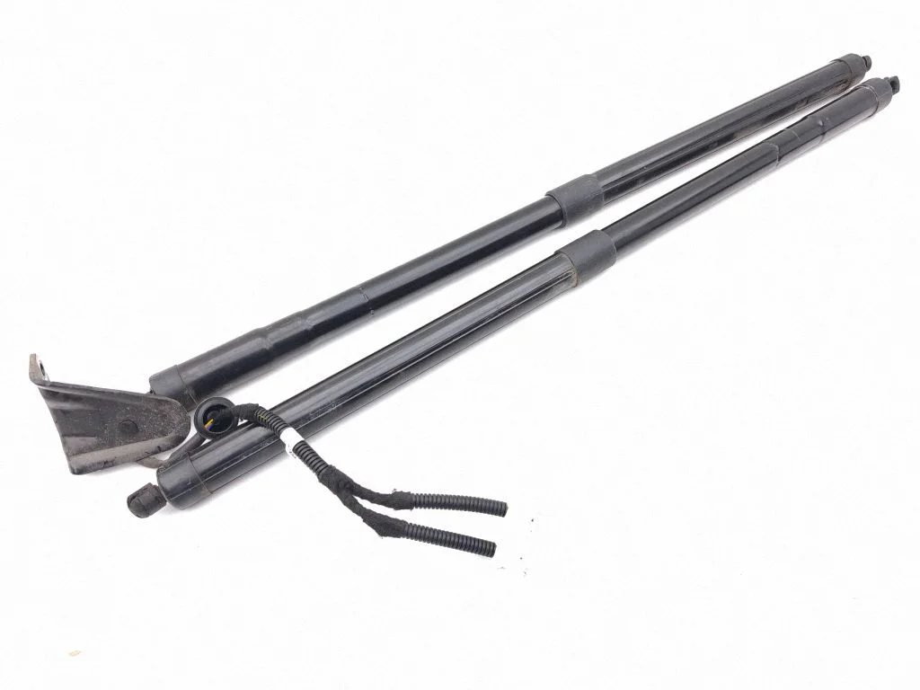 Tailgate/trunk strut/damper 74981TLAA517M1