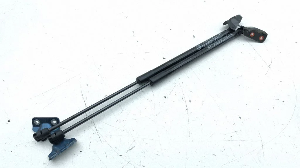 Tagaluugi gaasiamortisaator 81830AT000