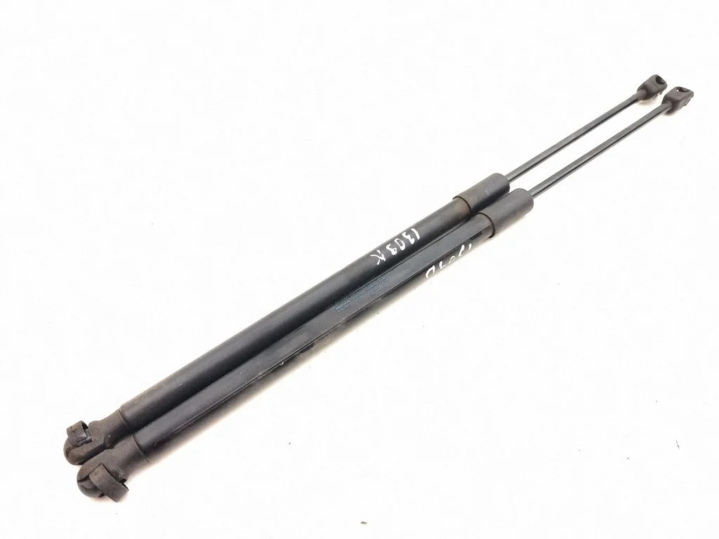 Tagaluugi gaasiamortisaator 10A827550A