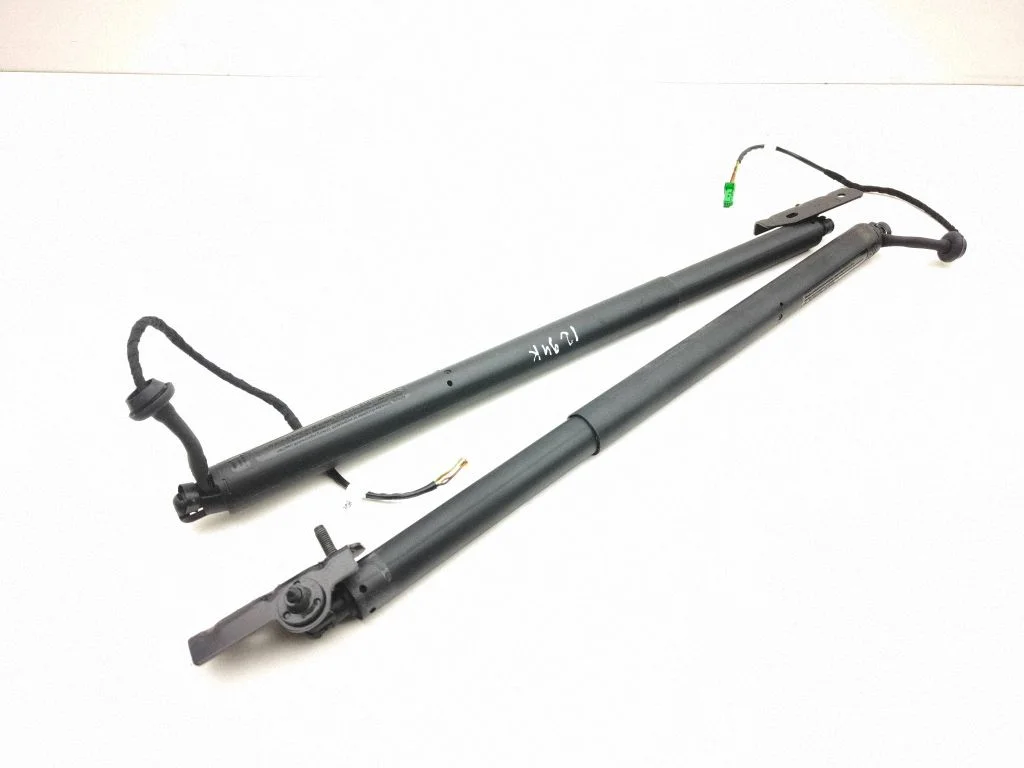 Tailgate/trunk strut/damper 9843208380