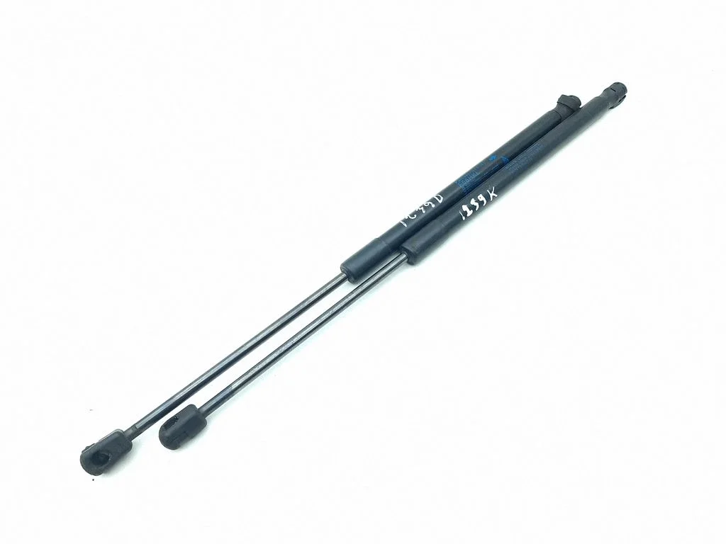 Tailgate/trunk strut/damper 7300845