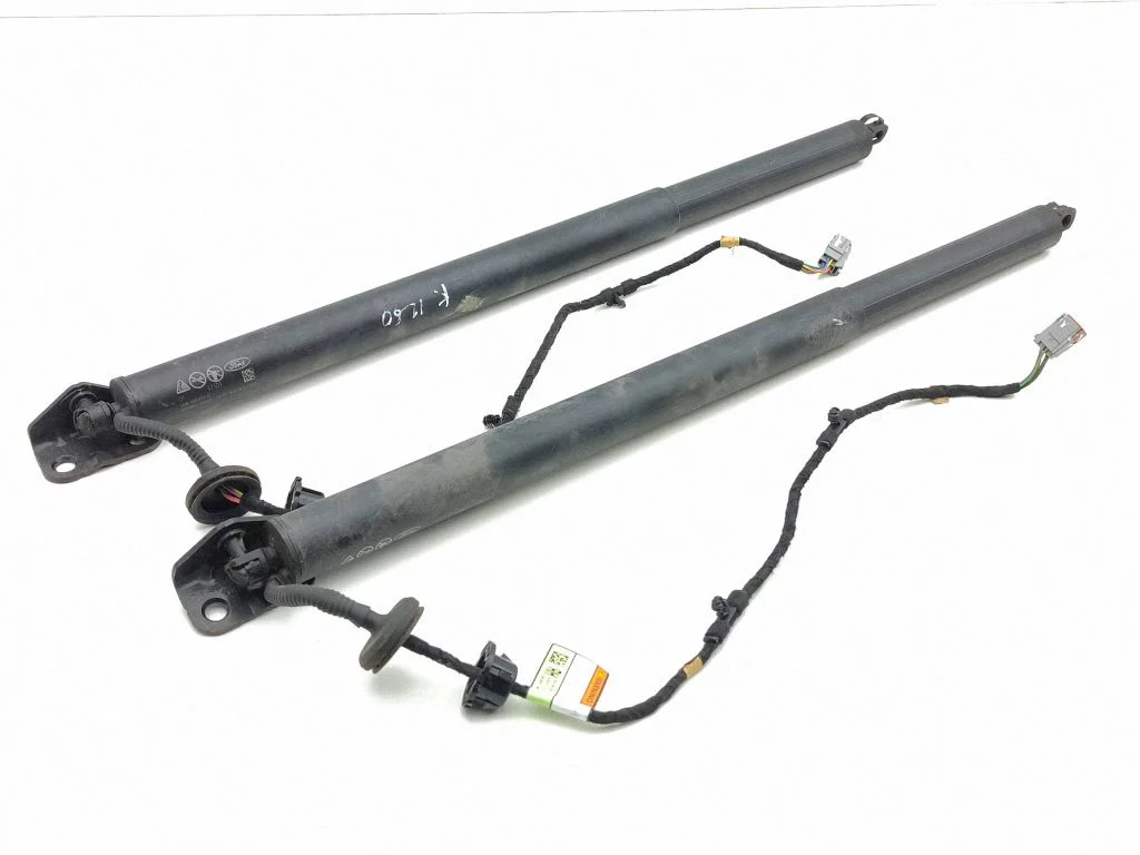 Tailgate/trunk strut/damper LV4BS402A54AE
