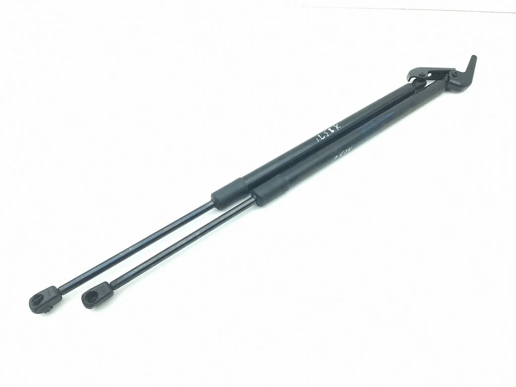 Tailgate/trunk strut/damper 904506UA0B