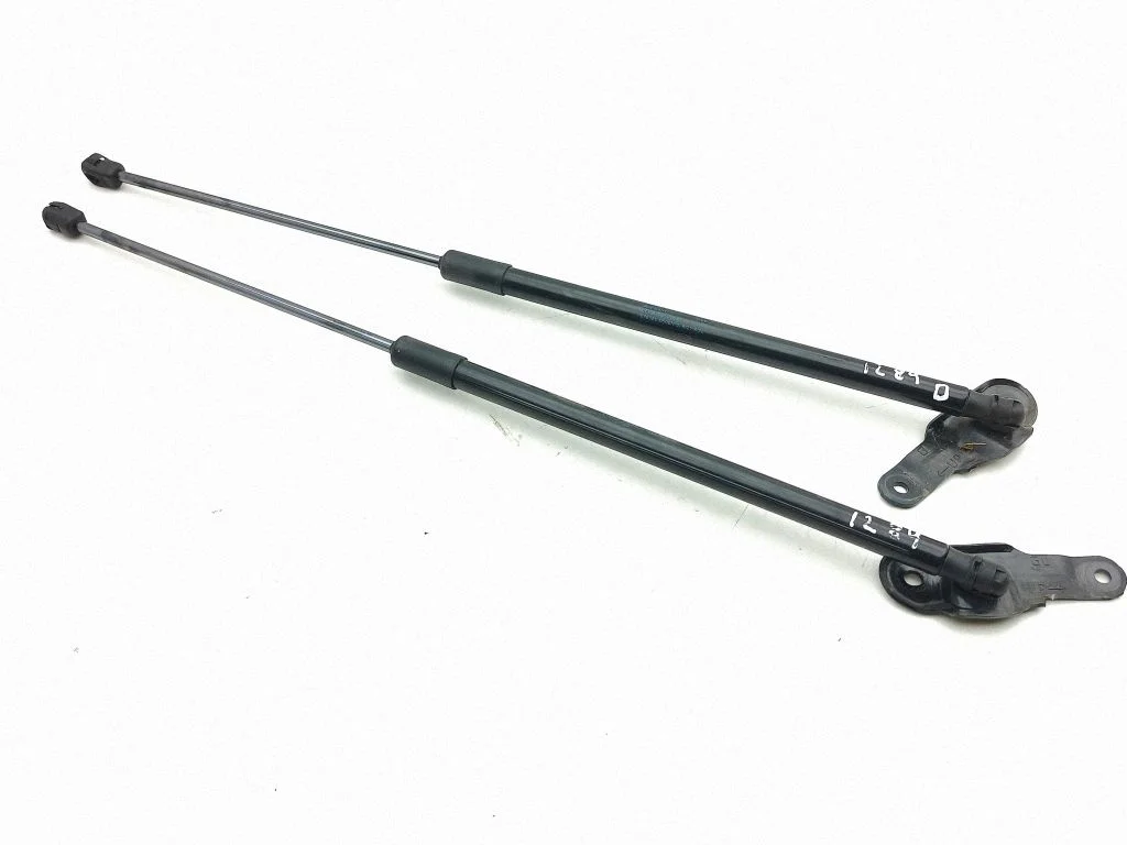 Tailgate/trunk strut/damper 5FE82755004S