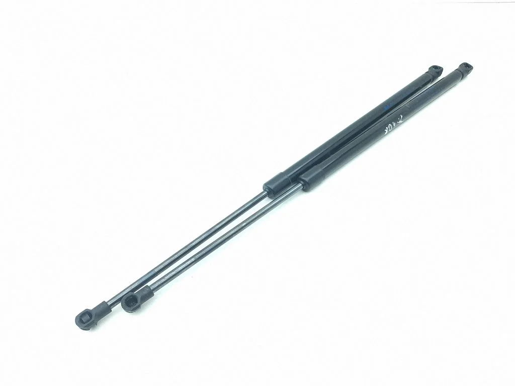 Tailgate/trunk strut/damper 904506PA0A