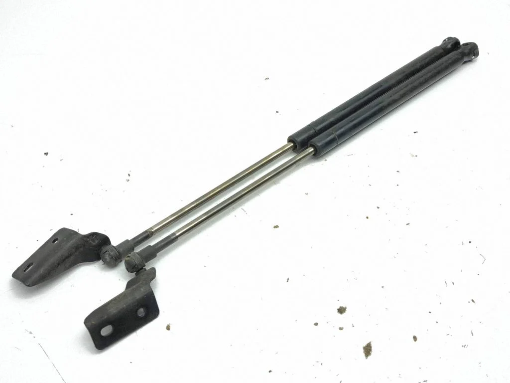 Tailgate/trunk strut/damper 4981QE0380N