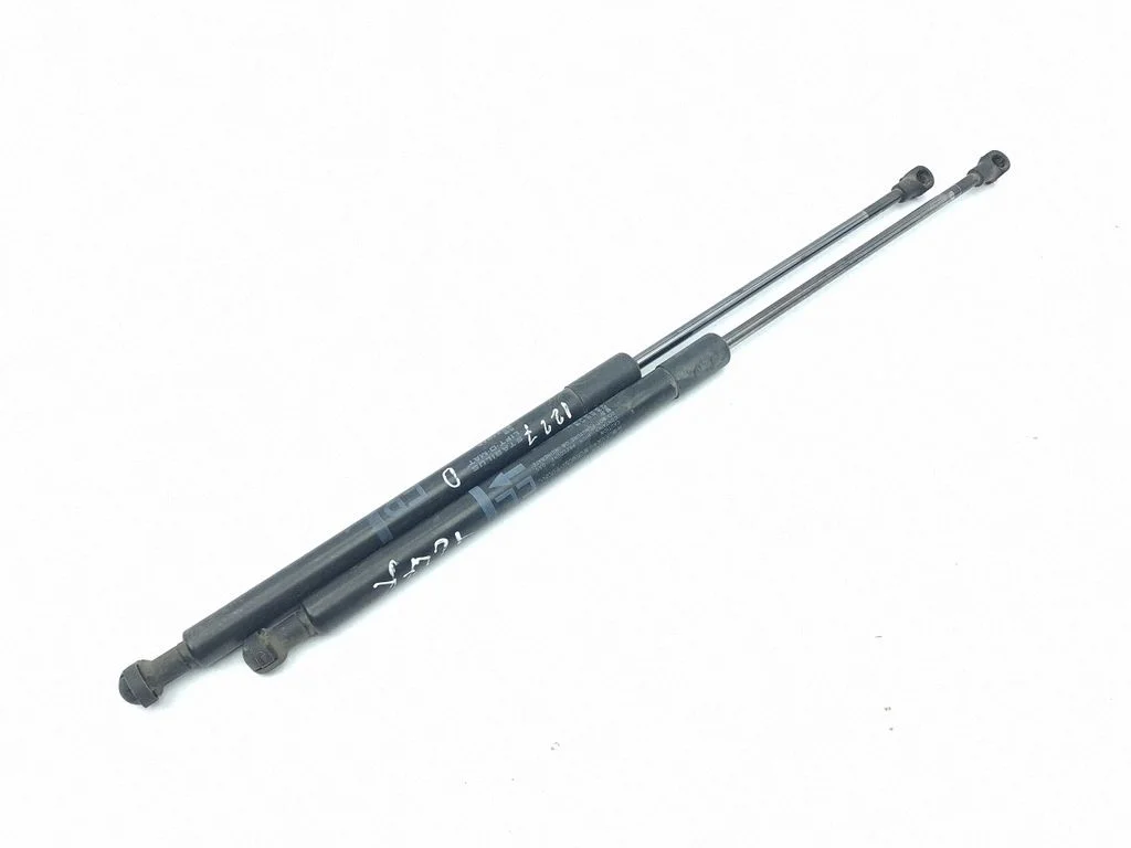 Tagaluugi gaasiamortisaator 689600W431