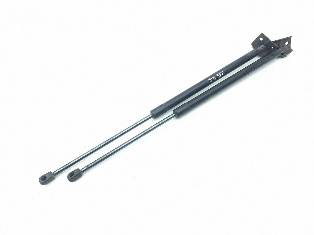 Tagaluugi gaasiamortisaator 8489UF0755N