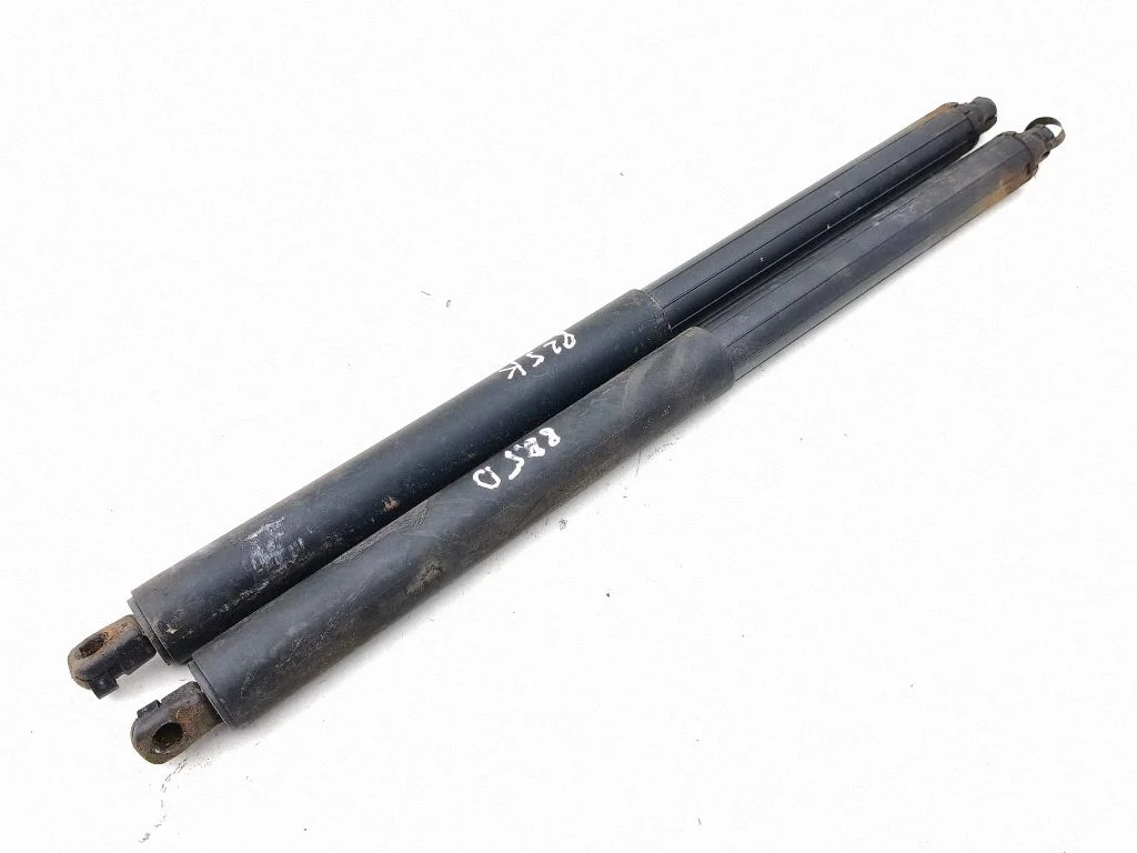 Tailgate/trunk strut/damper