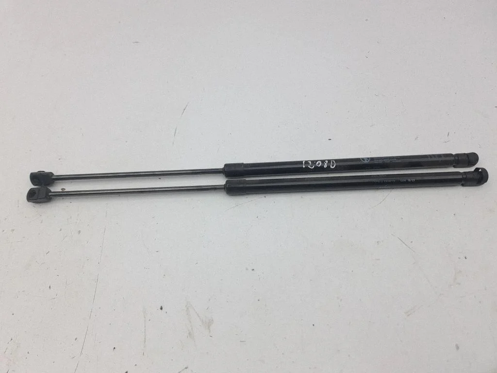 Tailgate/trunk strut/damper 81841Q0000