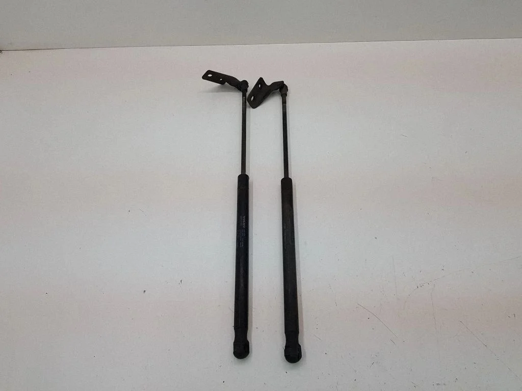 Tailgate/trunk strut/damper 30634580