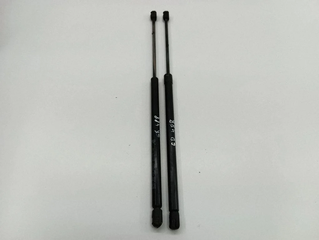 Tagaluugi gaasiamortisaator 601123730