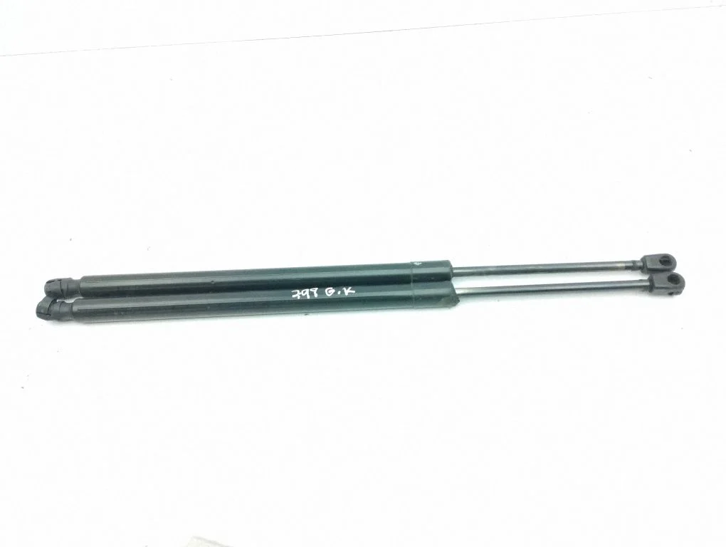 Tailgate/trunk strut/damper A1647400245