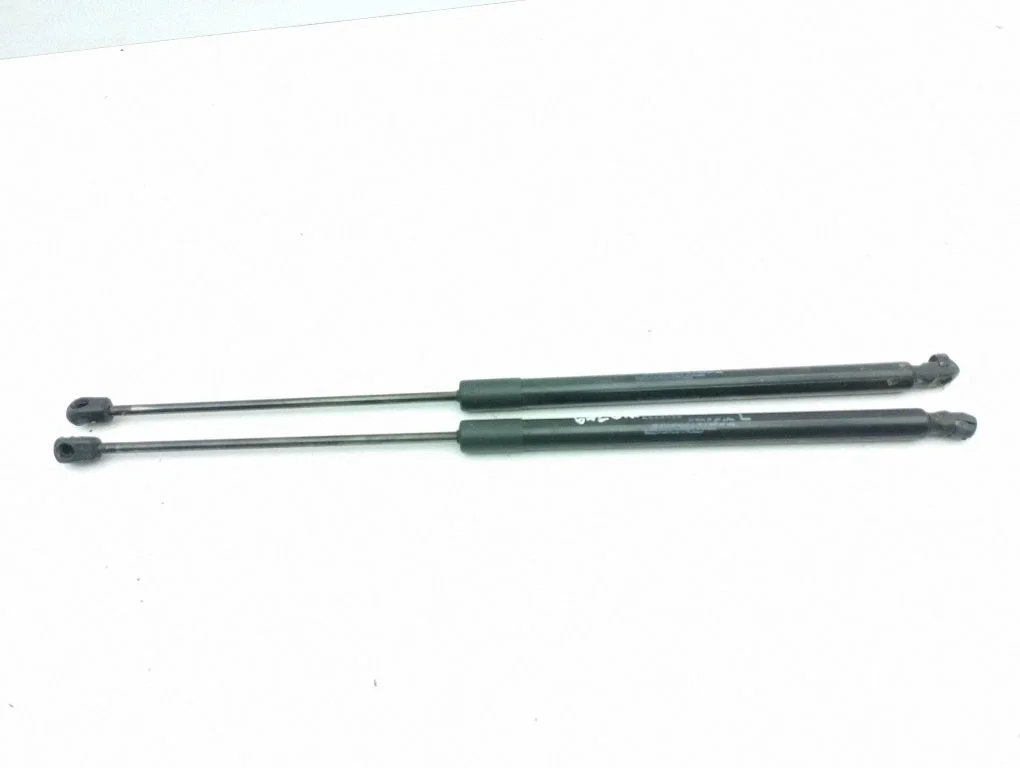 Tailgate/trunk strut/damper 74870T1GE111M1