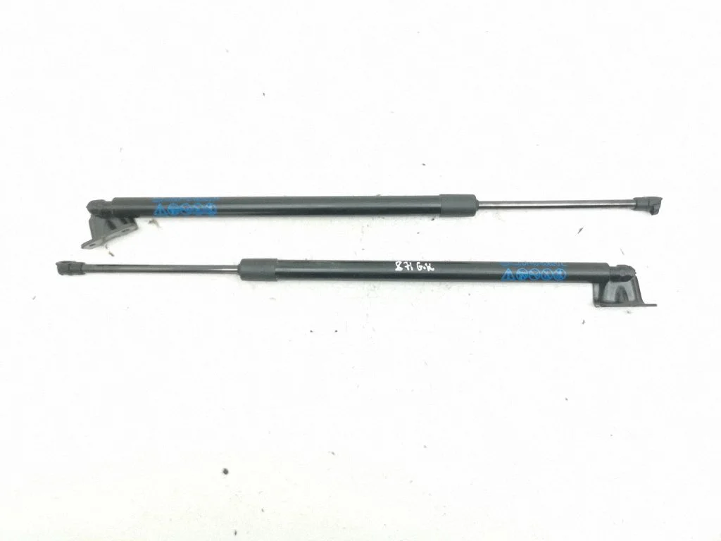 Tailgate/trunk strut/damper DFR562620R