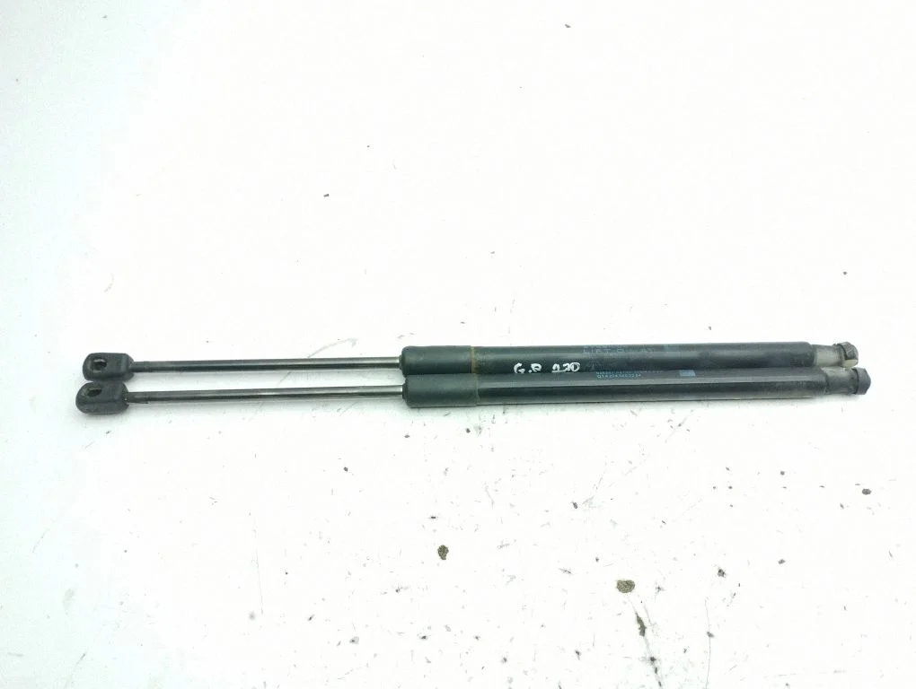Tailgate/trunk strut/damper A2049802264