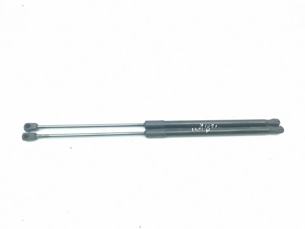 Tailgate/trunk strut/damper 6F0827550C