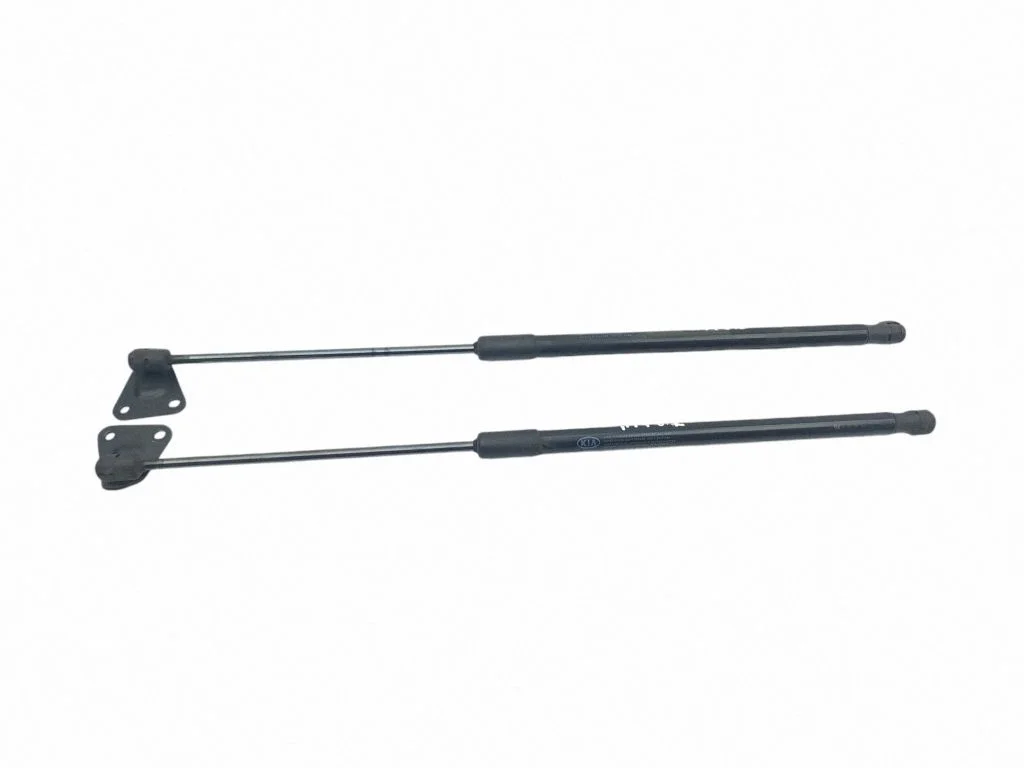 Tailgate/trunk strut/damper 81771J7000