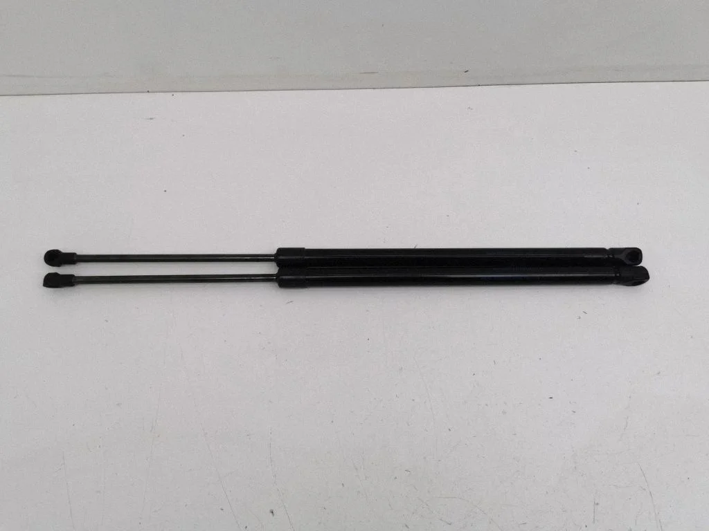Tailgate/trunk strut/damper 904516PA0A