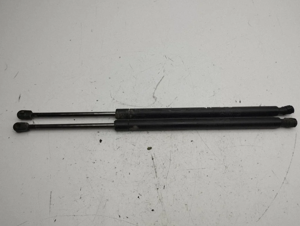 Tailgate/trunk strut/damper A1647400245