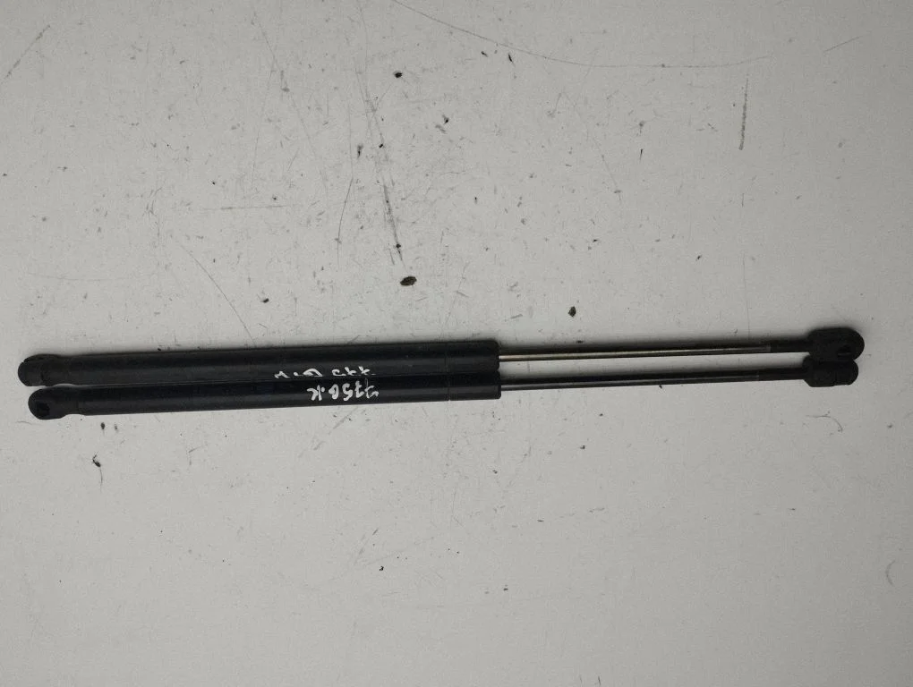 Tailgate/trunk strut/damper 9801386