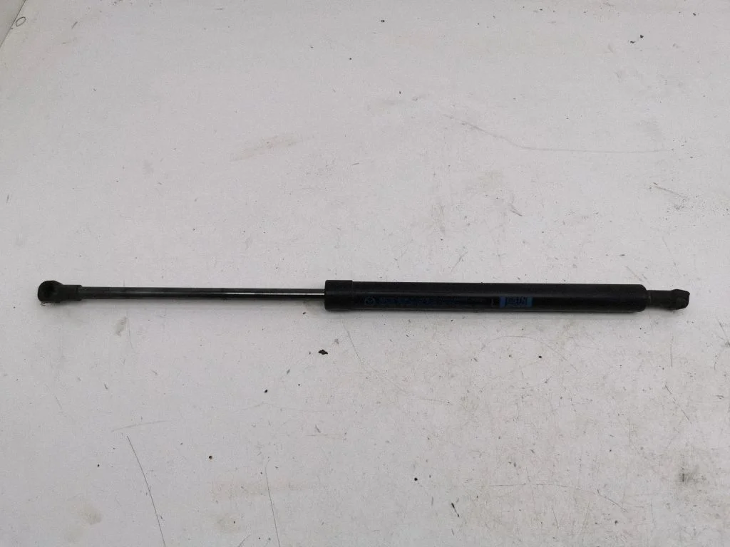 Tailgate/trunk strut/damper GS1N