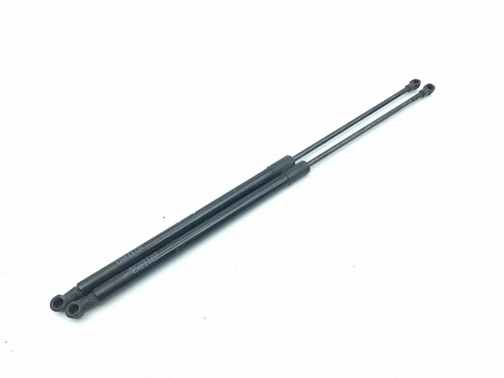 Tagaluugi gaasiamortisaator 7296775