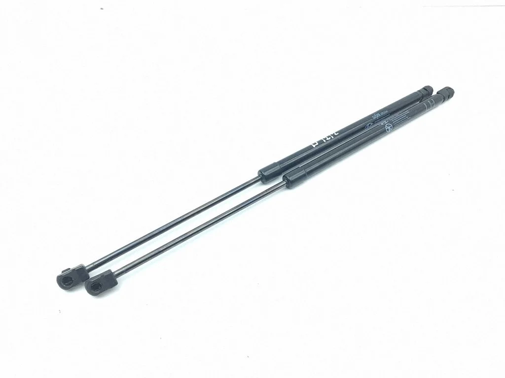 Tailgate/trunk strut/damper 81841Q0000