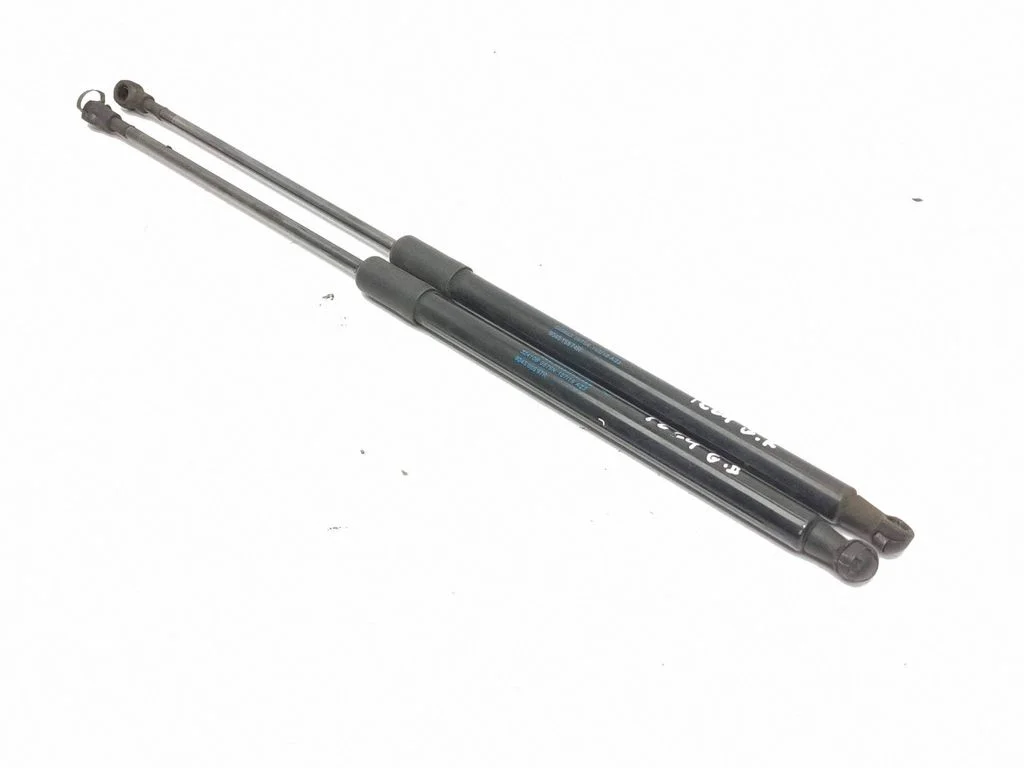 Tailgate/trunk strut/damper 904506697R