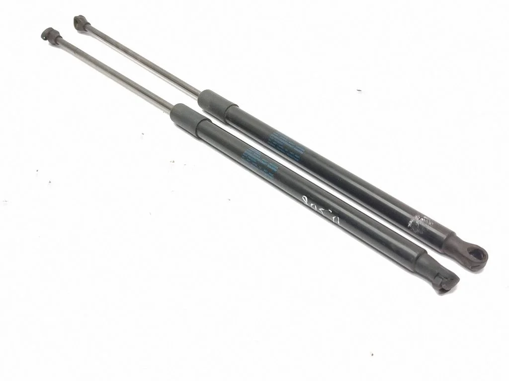 Tailgate/trunk strut/damper 5FA827550B
