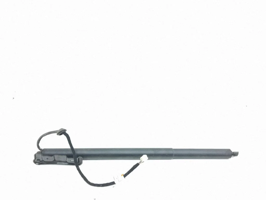 Tailgate/trunk strut/damper 670033247