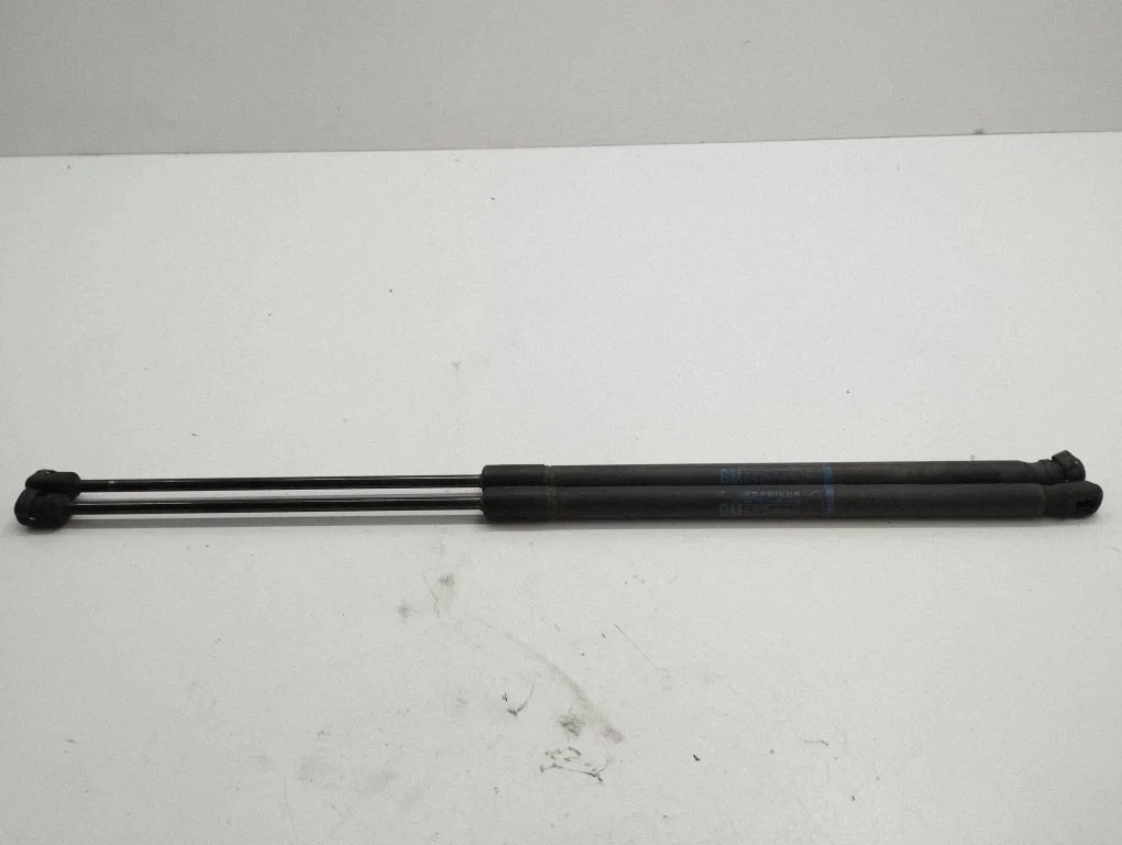 Tailgate/trunk strut/damper 13182537