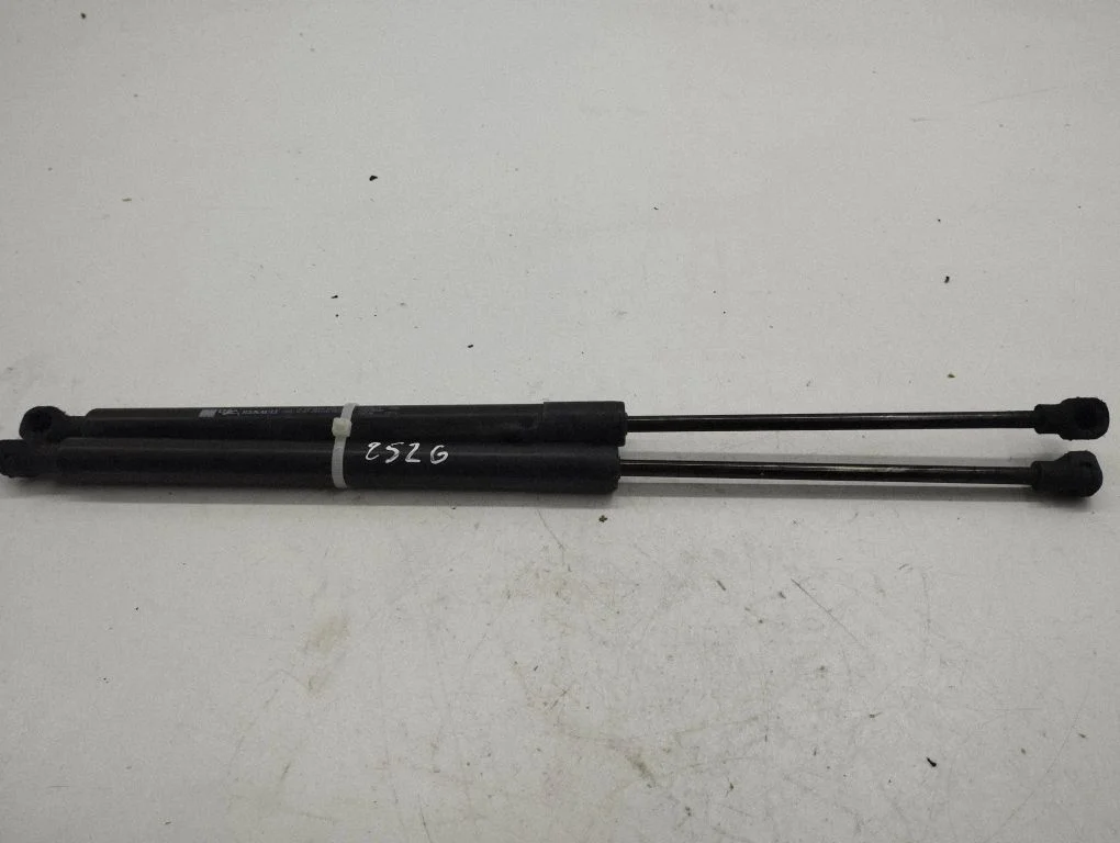 Aizmugurējā vāka amortizators B44308661R