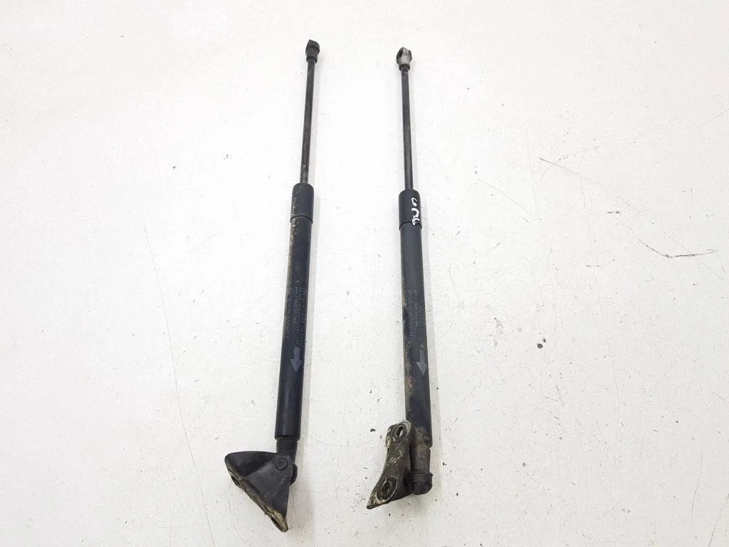 Tailgate/trunk strut/damper 689600D011