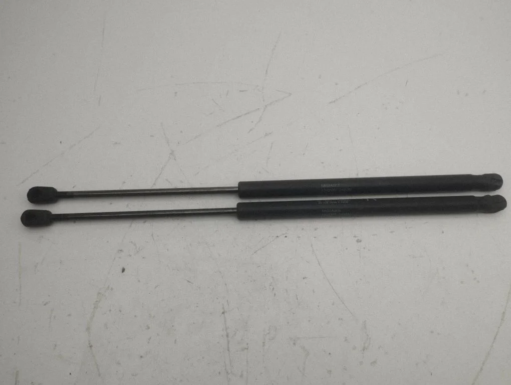 Tailgate/trunk strut/damper 5802A007